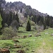 im Abstieg zur Nesselauer Alm