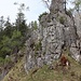 wunderbares Gratwandern auf der Nesselauer Schneid