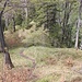 ab hier nun auf gutem Pfad