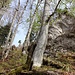 wegloser Aufstieg zum Reitstein