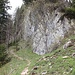 im Abstieg zur Nesselauer Alm