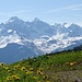 Die höchsten Oberhalbsteiner Berge aus der Blumenwiese gesehen.