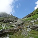 Weg zum Zubecoll