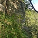 Sandsteinwände