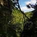 Ausblick ins Tobel