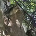 Sandsteinwände