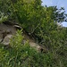 wieder hoch zur Felswand