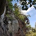 Blick nach oben