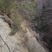 Blick von unten im Winter 4