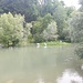 Dählhölzli Zoo