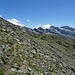 Auf dem Weg zurück