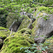 Wohlfühl-Granit.