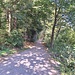 Aareuferweg