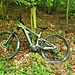 <b>Parcheggiata la bici mi avvio, nella frescura della faggeta, per gli ultimi sedici minuti di fatica. </b>