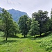 <b>Ridisceso al casotto riprendo la bici e percorro il bel pianoro prativo di Saléra, dove un tempo erano attive delle piccole fornaci per la produzione di calce.</b>