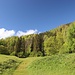 über die Wiese vom Bauer am Berg