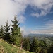 links die Maiwand
