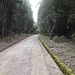 La strada prosegue sempre nei boschi con andamento lineare ed aumenta la pendenza nei pressi di Case Marganai; questa è una zona che si presta all’escursionismo perché ai lati della strada si incontrano numerosi cartelli indicanti mete da raggiungere. 