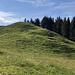 Fähneren