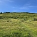 Im Nordhang