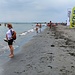 Grado