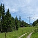 Das Almgelände an Grubreut