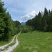 Der hübsche Gloaßenweg führt am ausgelichteten Kamm von Grubreut entlang zum dritten und vierten Mast