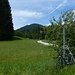 Bike-Depot am Grubsee-P. - selbstverständlich im Schatten!