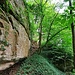 Auf dem Pfaderl zurück wanderte ich nun weiter westwärts. Bald führen deutliche Trittspuren rechts hinauf zur Felswand. Mein Geheimanstieg auf dem Schlossberg! Es geht hinauf zur Felswand, dann auf einem krautigen Sims nach rechts. 