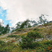 Nach dem felsigen Abschnitt erreicht man den Wildelsigenkessel. Oben rechts Balmhorn.