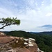 Der Wilgartswieser Rauhbergpfeiler bietet eine schöne Aussicht auf den Spirkelbacher Rauhfels.