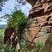 Wenige 100 Meter westlich des Luger Friedrich sticht der Höllenfels den steilen Waldhang hinauf. Ich bin vor Jahren mal in dieser Wand auf schmalen, gut gestuften Simsen (rechts) in die Scharte gekommen.