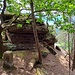 Fels - Baum - Astgabel - Grenzstein - Felsblock. Unschwierig, aber einfach ein großer Spaß, den ich mir nie entgehen lasse.