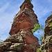 Das ist der Otto-Wendel-Turm, eine dem Spirkelbacher Rauhfels vorgelagerte "Puppe" von 31 Metern Höhe, die Kletterrouten ab VI bietet.