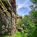 Der Bavariafels ist einer der eindrucksvollsten Felsen im gesamten Queichtal. Das mächtige, bis zu 44 Metern hohe Felsenriff ragt südwestlich über Wilgartswiesen am Ostkamm des Großen Rauhbergs auf.