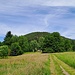 Hier bei Spirkelbach geht's auf einem Wiesenweg weiter. 