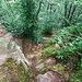 Auf letzten Stufen ging es dann hinunter auf den Pfad auf der Südseite der Felsen und auf diesem in westlicher Richtung weiter. 