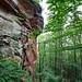 Glücklich wieder herunten, wanderte ich nun weiter weglos den Wald hinunter zu einem breiten Waldweg.