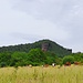 Blick zum Kleinen Rauhberg.