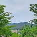 Die Aussicht ins Queichtal ist - zugewachsen. 