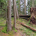 Auf dem höchsten Punkt vom Stockwald Hubel.