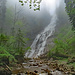 Der "Engstligenfall" vom Pilatus: Versteckt im Wald & Tobel finde ich den vermutlich grössten Wasserfall am Pilatus. Dank dem vielen Regen der vergangenen Tage macht er dem Engstligenfall Konkurrenz!