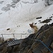 Leitern und Treppen hinter der Capanna Gnifetti