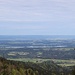 Simssee