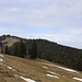auf dem Rückweg