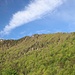 Zellerwand und co