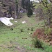 schön geht es durch die Mulde