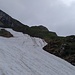 Schon mehr Schnee, auf der Kuppe hatte es ein paar Steinkitze
