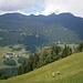 Itonskopf