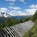 Holzspitzen - Baumspitzen - Bergspitzen